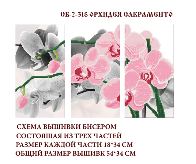 схема, бісер, атлас, орхідея, купити схему для вишивки, україна