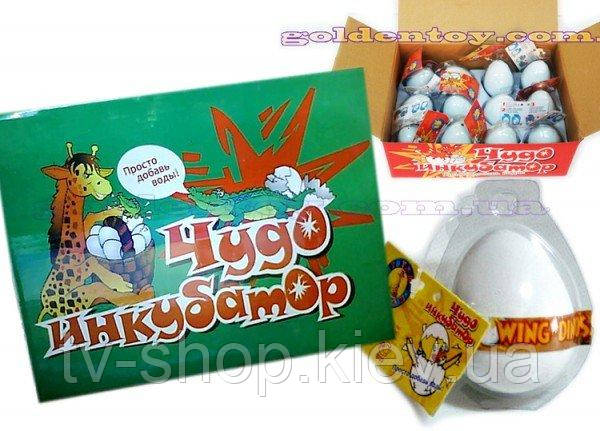Яйце-інкубатор — щораз більший Крокодил, фото 1
