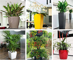 Кашпо для орхідей, вазони квіткові Santino від виробника, дизайнерські вазони та інше.