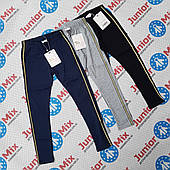 Підліткові трикотажні лосини для дівчаток оптом Miss Wifi