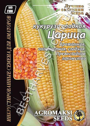 Насіння кукурудзи «Цариця» 20 г, інкрустовані, фото 1
