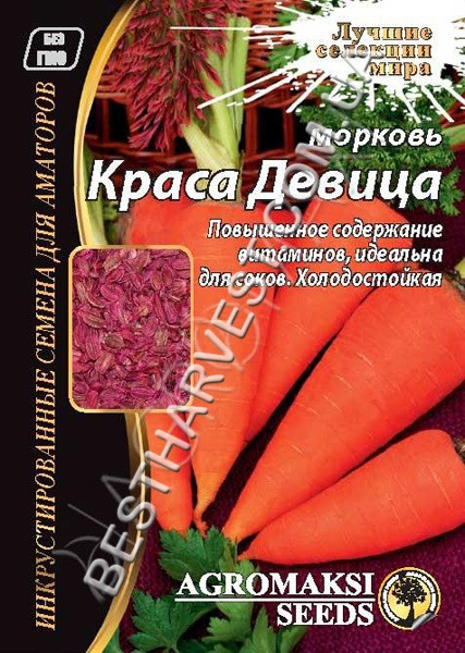 Насіння моркви «Краса Дівиця» 15 г, інкрустовані