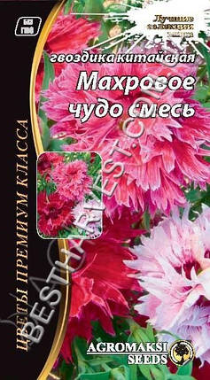 Насіння квітів Гвоздика китайська «Махрове диво» суміш 0.2 грам, фото 2