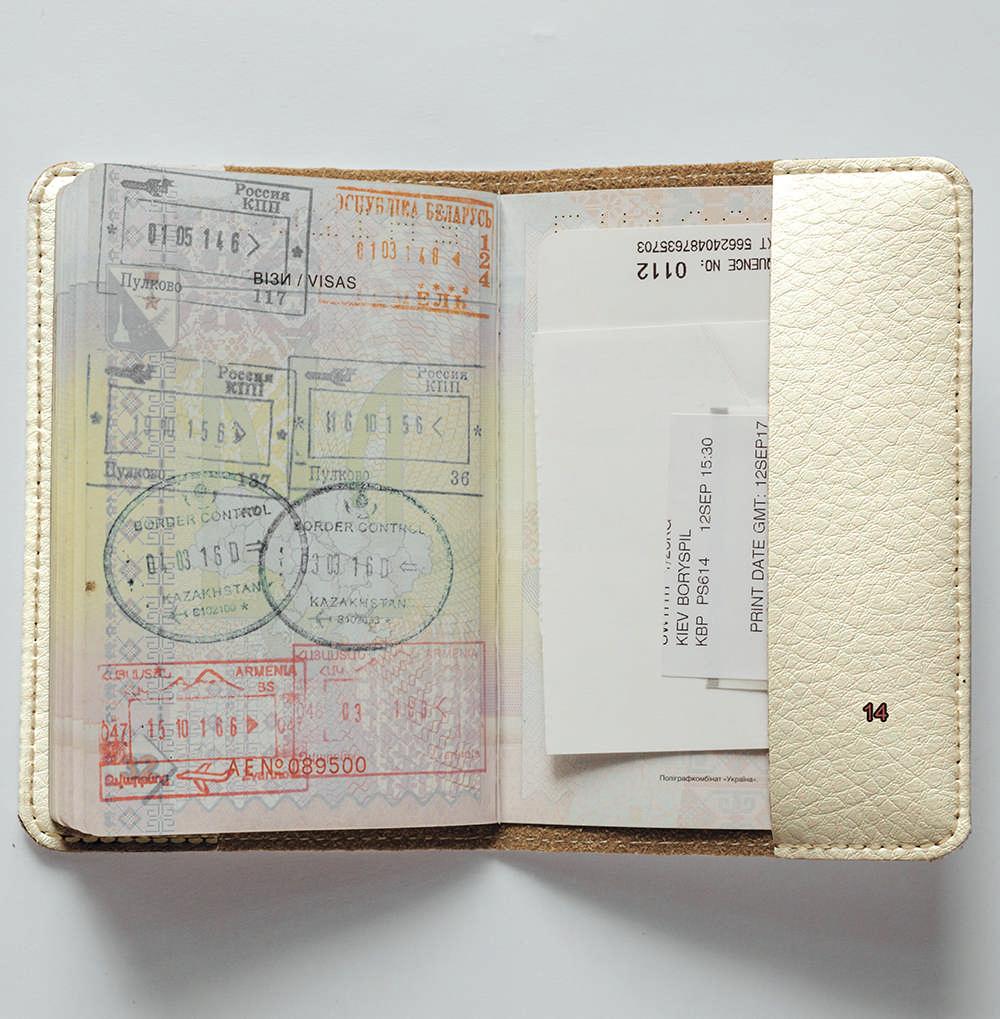 Обложка на паспорт 1.0 Fisher Gifts 14 Петриковский роспись (эко-кожа) - фото 4 - id-p576235041