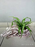 Кашпо керамічне для рослин Крокодил, фото 2