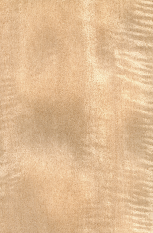 Шпон Анегре (Танганьїка) Фігурний Фарбований Табу Арт. 01.S.118, фото 1