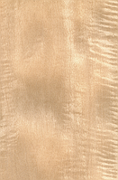 Шпон Анегре (Танганьїка) Фігурний Фарбований Табу Арт. 01.S.118