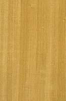 Шпон Кото Фарбований Табу Арт. 04.051