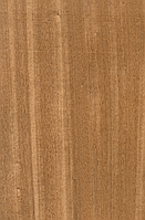 Шпон Кото Фарбований Табу Арт. 04.054