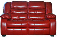 Шкіряний двомісний диван Ashley, не розкладний диван, м'який диван, меблі з шкіри