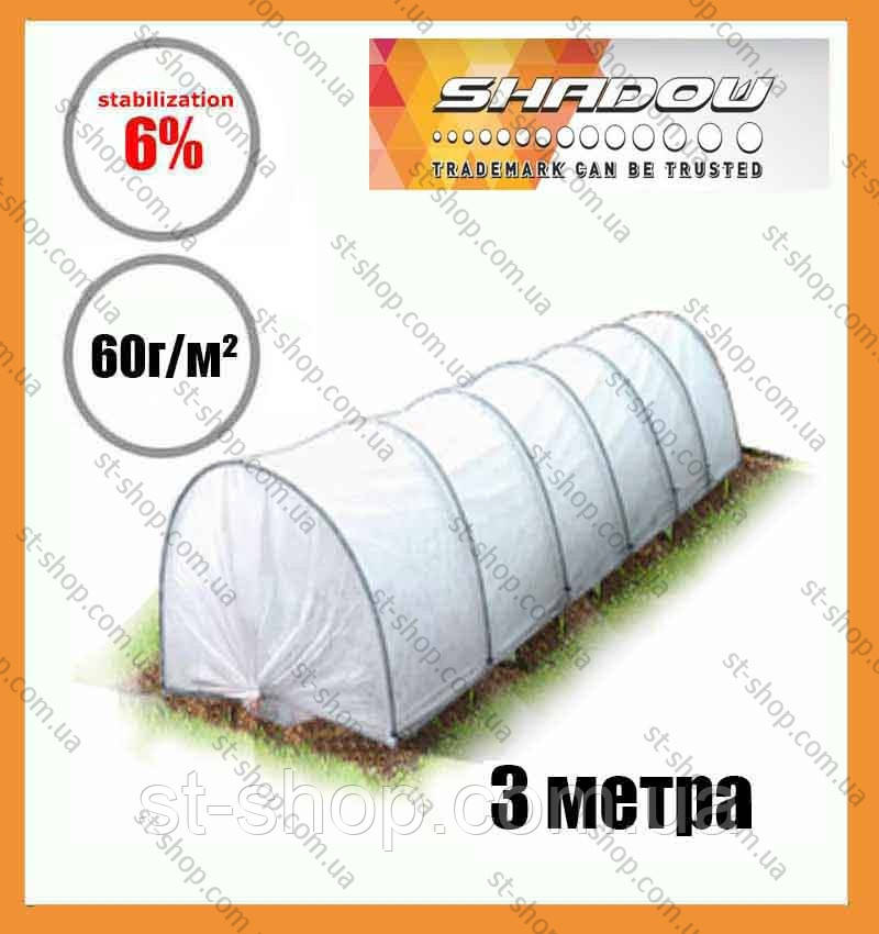 ПАРІК мінітеплиця "Shadow" 3м (щільністю 60 г/м2)