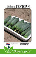 Огірки Гектор F1 (20 шт) - Nunhems
