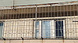 Решітки на вікна арт рс No 33, фото 3