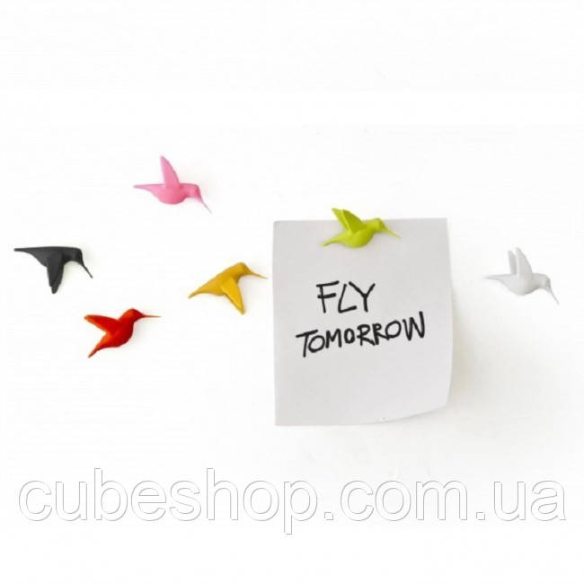 Набір магнітів Humming Bird's Message Qualy