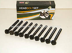 Болти головки двигуна на Рено Кенго 1.5 dci (K9K) - BGA (Великобританія) BK3351