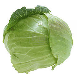 Капуста білочана Брауншвейська 1г