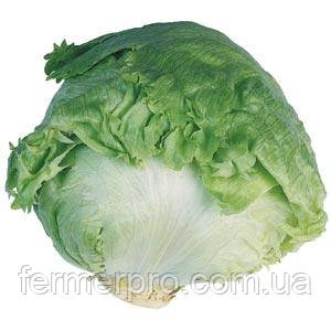 Насіння салату Авірам 1000 насіння Hazera драж., фото 1