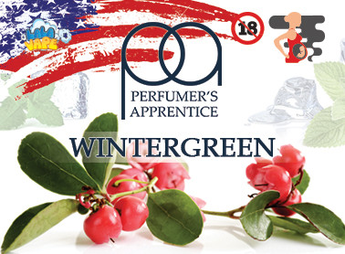 Wintergreen ароматизатор TPA (Вінтергрін)