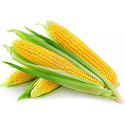 Кукурудза цукрова ароматна, 20 г. Агроном