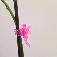 Затискачі для орхідей