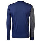 Чоловічий светр , Pierre Cardin, фото 2