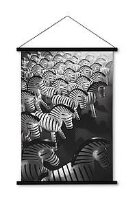 Плакат Зебра 40 x 56 см