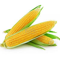 Кукуруза сахарная Брусника, 10гр Агроном