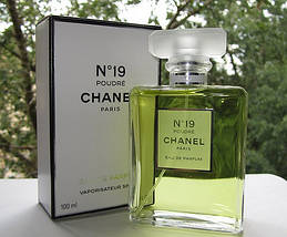 Chanel №19 Poudre парфумована вода 100 ml. (Шанель № 19 Пудра), фото 3