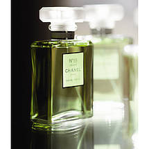 Chanel №19 Poudre парфумована вода 100 ml. (Шанель № 19 Пудра), фото 2