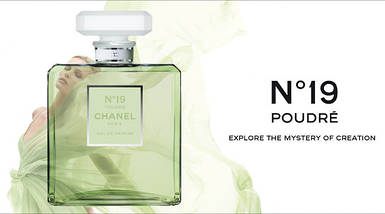 Chanel №19 Poudre парфумована вода 100 ml. (Шанель № 19 Пудра), фото 3