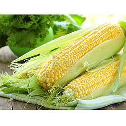 Кукурудза цукрова сюрприз, 10 г.