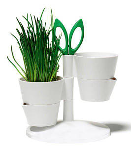 Набор трав Herb Stand