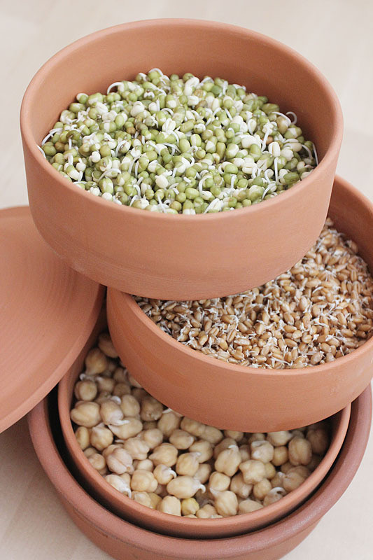 Глиняные лотки для проращивания зерна Hawos Tonkeimer - фото 2 - id-p634346028