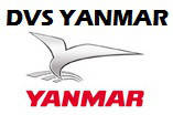 Запчастини ДВС YANMAR