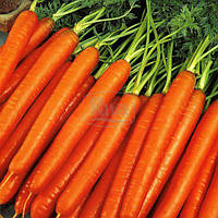 Морковь Флакке-2, 3г