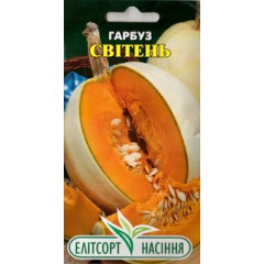 Насіння гарбуза Світен 12 шт.