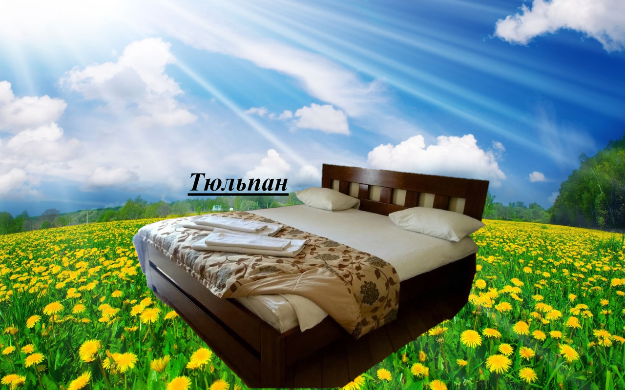 Ліжко двоспальне Тюльпан