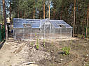 Тепліці Ужгорода, фото 4