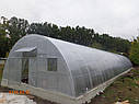 Тепліці Ужгорода, фото 6