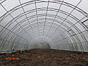 Тепліці Ужгорода, фото 7