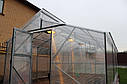 Тепліці Ужгорода, фото 8