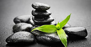 Вироби з Шунгіту