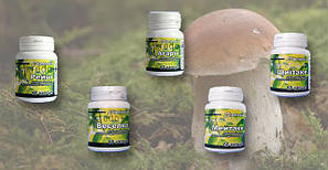 Лікувальні гриби Добавки Бади