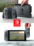 Nintendo Switch Console - Grey (EU) V2, фото 6