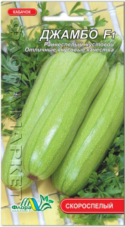 Насіння Кабачок кущовий Джамбо F1 5 насіння Флора Маркет