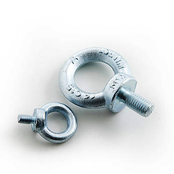 Рим-болт М8 DIN 580, фото 3