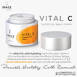 IMAGE Skincare Нічний крем Vital C, 56,7 г, фото 2