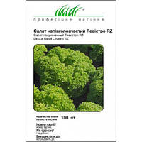 Салат Левистро дражованого насіння 100 шт, Rijk Zvaan