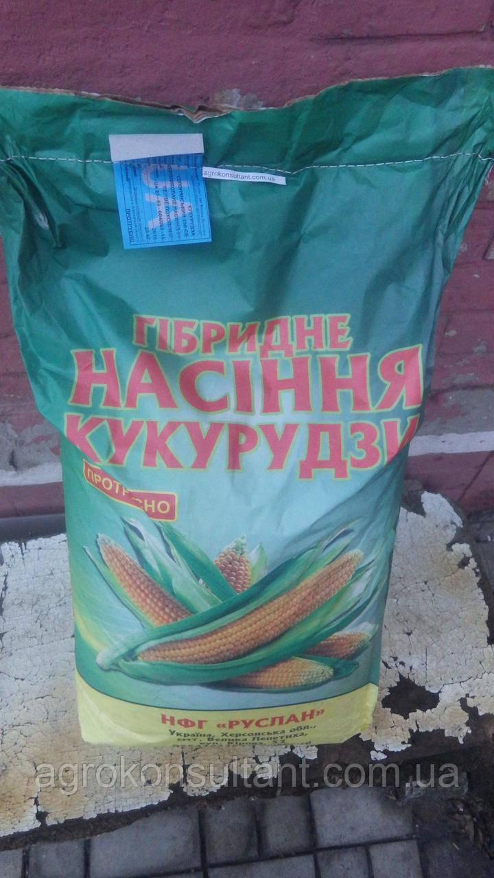 Насіння кукурудзи (27 кг) ДН Пивиха (ФАО180)