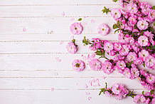 Фотофон вініловий, рожеві квіти 0020183